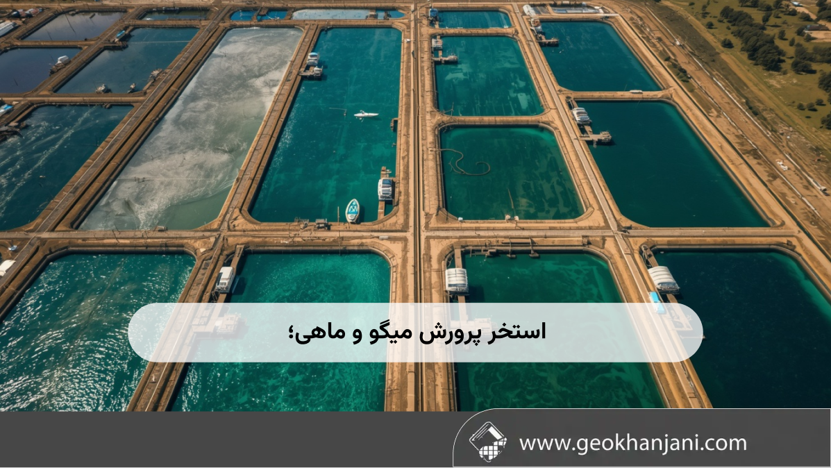 استخر پرورش میگو و ماهی؛ طراحی، آب‌بندی و انتخاب ژئوممبران برای افزایش بهره‌وری